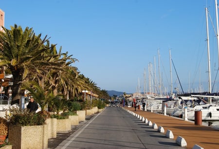 Hyeres-les-palmiers